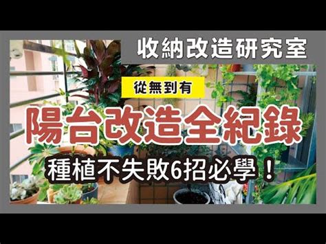 高樓陽台植物|【陽台植栽】15 種陽台植栽推薦｜新手也能輕鬆養出 